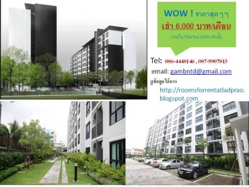 ãËéàªèÒ Condo ÅÒ´¾ÃéÒÇ âª¤ªÑÂ4 ÃÒ¤Ò6,000 ºÒ· ã¡Åé MRT ÅÒ´¾ÃéÒÇ ãËéàªèÒ Condo ÅÒ´¾ÃéÒÇ âª¤ªÑÂ4 ÃÒ¤Ò6,000 ºÒ· ã¡Åé MRT ÅÒ´¾ÃéÒÇ
