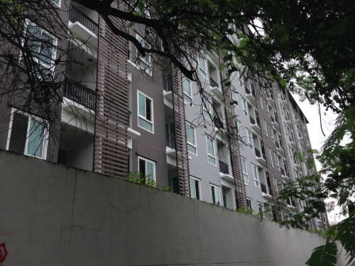 �	��¤͹� ���鹷���� 20 ��»�ЪҪ�� 16