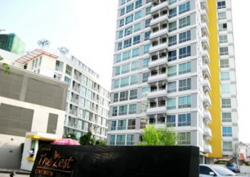 THE ZEST (����ʷ�) �͹� 36.12 ��.�. �Ҵ����ǫ�� 7