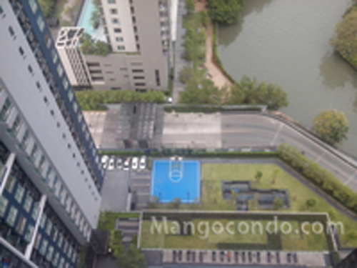 �����Ҥ͹� THE BASE SUKHUMVIT77 ON-NUT ��� 30 ���������¹�� 