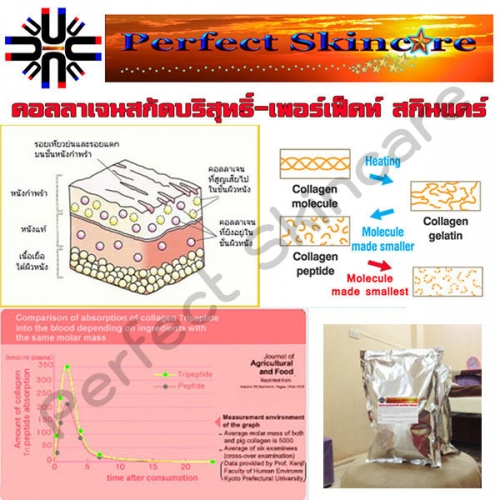 คอลลาเจน,COLLAGEN,ไตรเปปไทด์ คอลลาเจน,COLLAGEN,ไตรเปปไทด์
