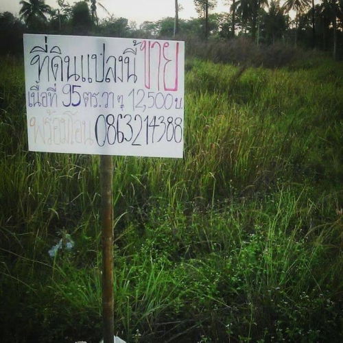 ���!!! ���Թ���� ��ҧ�纹�Ӻҧ��� �.����Ҫ� �.�ź���