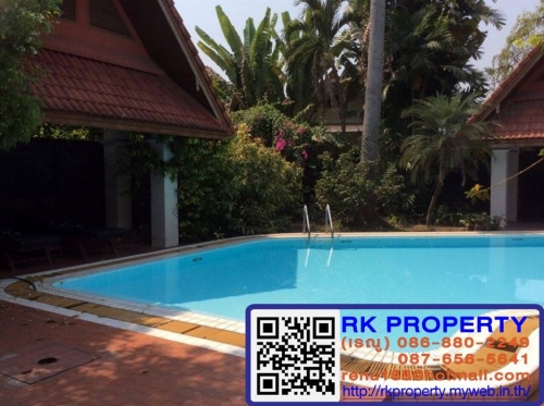 2249051-��ҹ����Ǫ����������� ������